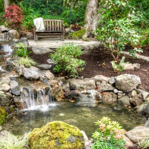 a stunning waterfall feature installed by Premier Landscape