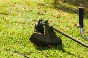 Boone NC Yard Maintenance