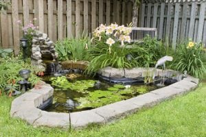 an example of our landscaping services, a small pond surrounded by stones in a backyard