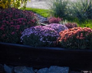 landscaping and flowers by a retaining wall