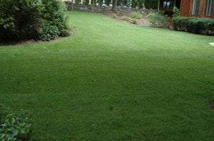 Boone NC Lawn Care