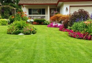 a beautifully landscaped lawn with flowers and shrubs, crafted by Premier Landscape