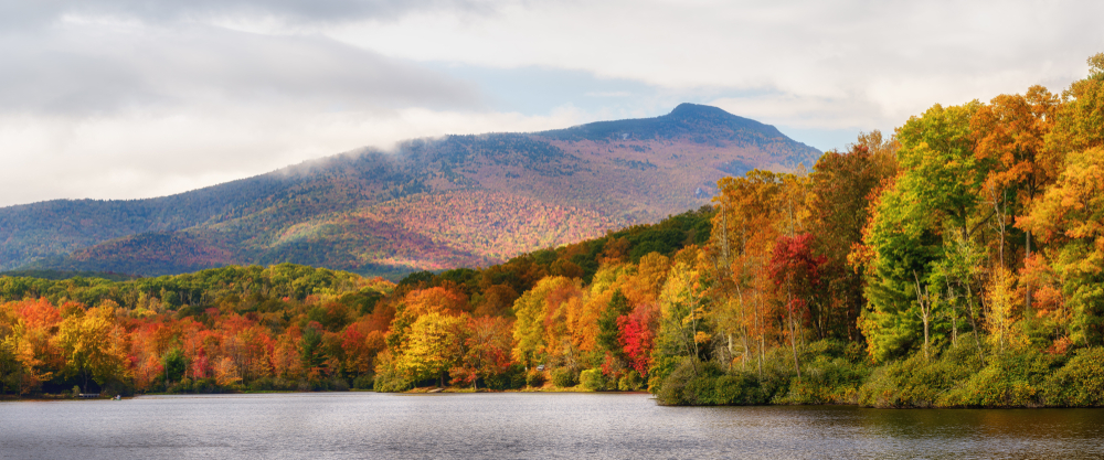 leaves turning orange, red, and yellow during the fall in Boone NC