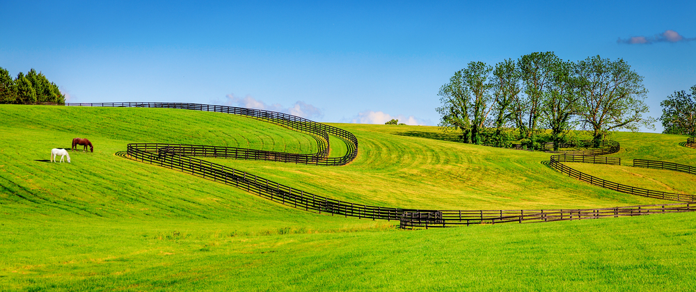 landscaping boone nc