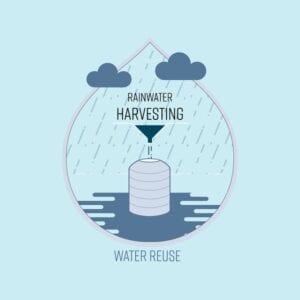 harvesting rainwater
