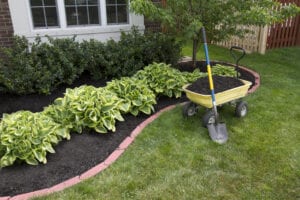 topsail landscaping services in Boone NC