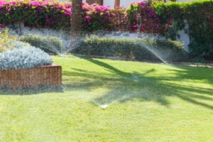 a beautiful lawn landscaped by Premier Landscape Management in Boone NC